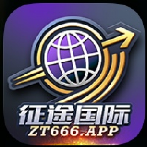 征途国际